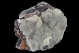 Botryoidal Grey-Purple Fluorite - Fremont County, Colorado #118568-1